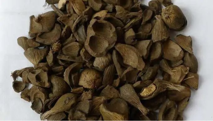Cangkang Sawit