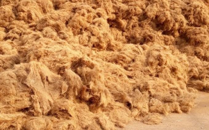 Fiber Sawit